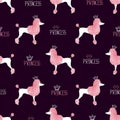 Little princess poodle pattern in pink and purple colors