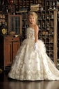 Little princess in white dress Royalty Free Stock Photo