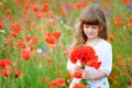 Little princess with wild red flowers in the field Royalty Free Stock Photo