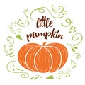 Little pumpkin. Baby shower hand drawn design template with green cute ornament