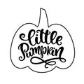 Little Pumpkin. Thanksgiving day, Fall, Halloween Party Poster with Handwritten Ink Lettering