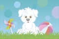 Funny white puppy with toys Royalty Free Stock Photo