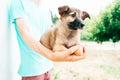 A little puppy in the arms of a man in a blue blouse