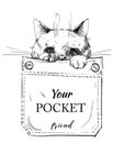 Little purebred cat in pocket. vector illustration