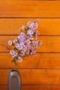 The little purple asters on a orange wooden background. Bouquet of autumn flowers in ceramic vase Royalty Free Stock Photo