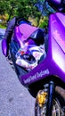 The little purple dragon scooter