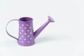 Little purple watering can