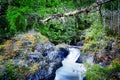 Little Qualicum Falls Provincial Park Royalty Free Stock Photo