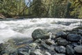 River at Little Qualicum Falls Provincial Park, British Columbia Royalty Free Stock Photo