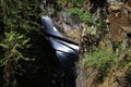 Little Qualicum Falls- Provincial Park  (Vancouver Island) Canada Royalty Free Stock Photo