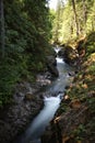 Little Qualicum Falls- Provincial Park  (Vancouver Island) Canada Royalty Free Stock Photo