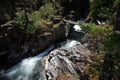 Little Qualicum Falls- Provincial Park  (Vancouver Island) Canada Royalty Free Stock Photo