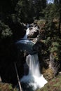 Little Qualicum Falls- Provincial Park  (Vancouver Island) Canada Royalty Free Stock Photo