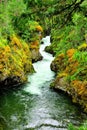 Little Qualicum Falls Provincial Park, Vancouver Island, Canada Royalty Free Stock Photo