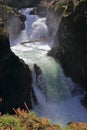 Little Qualicum Falls Provincial Park with Waterfall and River Canyon, Vancouver Island, British Columbia Royalty Free Stock Photo