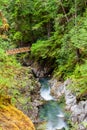 Little Qualicum Falls on Vancouver Island, Canada Royalty Free Stock Photo