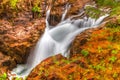 Little Qualicum Falls on Vancouver Island, Canada Royalty Free Stock Photo