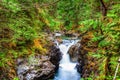 Little Qualicum Falls on Vancouver Island, Canada Royalty Free Stock Photo