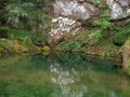 Little quiet pond, rocks and vegetation