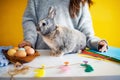 Little rabbit with a basket with decorated egg - Easter card Royalty Free Stock Photo