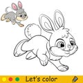 Little rabbit coloring with colorful template vector Royalty Free Stock Photo