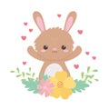 Little rabbit flowers leaves foliage cartoon animal