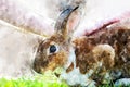 Little rabbit on green grass in summer day