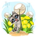 Little Raccoon Flies On A Dandelion. Funny Comic Baby Animal. Summer Meadow With Flowers. Cute Cartoon Style. Childrens