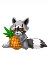 Little raccoon loves to eat pineapple