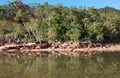 Little Ramsay Bay on Hinchinbrook Island Royalty Free Stock Photo