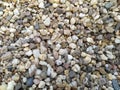 Little raw rocks and gravel minerals as natural stones background with crushed and rough material at a rough coast or rocky beach Royalty Free Stock Photo