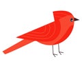 little red bird Royalty Free Stock Photo