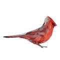Little red bird Royalty Free Stock Photo