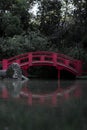 Little red bridge reflecting on the water in a forest covered in greenery under sunlight Royalty Free Stock Photo