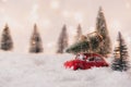 Little red car toy carrying Christmas tree Royalty Free Stock Photo