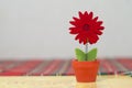 Little red flower Royalty Free Stock Photo