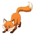 Little Red Fox Cartoon Animal Illustration Royalty Free Stock Photo