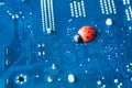 Little red ladybug on a blue motherboard. Concept of computer virus or bug, system failure, problem with technology, software