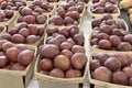 Little Red Potatoes Royalty Free Stock Photo