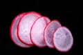 Little red radishes Royalty Free Stock Photo