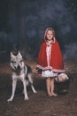 Girl in costume of little red riding hood in forest posing with wolf dog Royalty Free Stock Photo