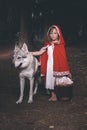 Girl in costume of little red riding hood in forest posing with wolf dog Royalty Free Stock Photo