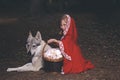 Girl in costume of little red riding hood in forest posing with wolf dog Royalty Free Stock Photo