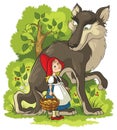 Little Red Riding Hood and Wolf in the forest Royalty Free Stock Photo