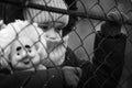 A little refugee girl with a sad look behind a metal fence. Social problem of refugees and internally displaced persons. Russia`s
