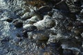 Little River in Borjomi gorge in Georgia Royalty Free Stock Photo