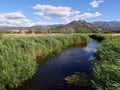 Little river at Lozari beach, Corsica