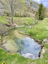 Little river at mountain Zlatibor Royalty Free Stock Photo