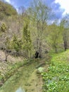 Little river at mountain Zlatibor Royalty Free Stock Photo