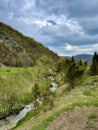 Little river at mountain Zlatibor Royalty Free Stock Photo